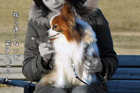 ͼ¡¦Í¼¡¦Í¼¾Æ¤±¡¡08