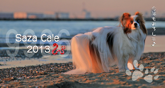 ¡Ú¥µ¥¶¥«¥ì2013¡ÛÇÛÁ÷¡Á¡ú¡ù¡ú¡¡03