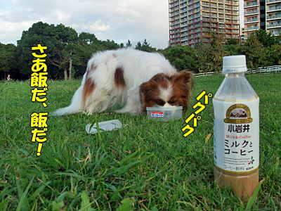 ¥Ú¥Ã¥È¥Ö¥í¥°¡ú¥