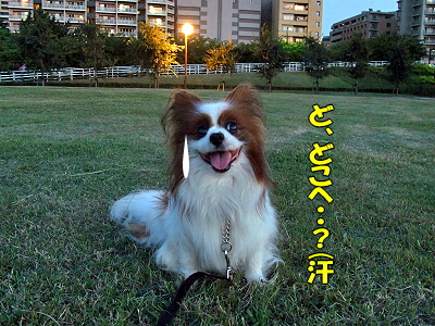 ¥ª¥Õ²ñľÁ°¬
