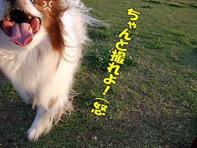 û´ü½¸ÃæÏ¢ºÜ¡¦28¡ÊÃæÊӡˤ