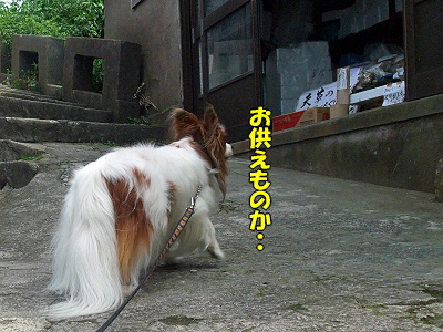 38ǯ²ñ⑰