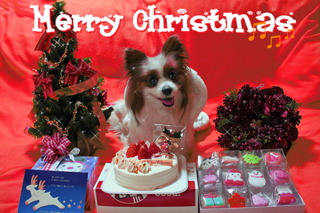 Merry Christmas 2009¨