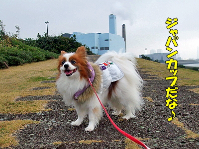 ¤µ¤¢¥¸¥ã¥Ñ¥ó¥«¥Ã¥×¤À¡ú¢