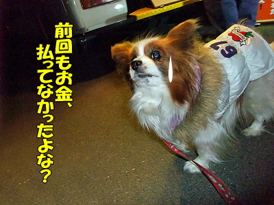 ·îÍËÆü¤Ï¥¿¥³¥¹¤ÎÆü¦