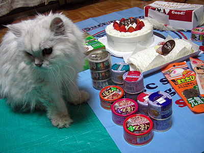 Happy Birthday HERMES 2007ª
