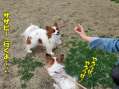¤¹¤×¤ê¤ó¤°¡ú¥×¥Á¥ª¥Õ part2§