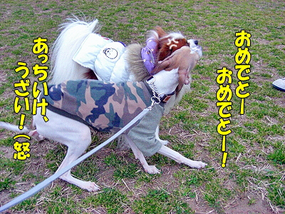 郎°ìÈÖ¡¦¡¦¡¦¡¦¥