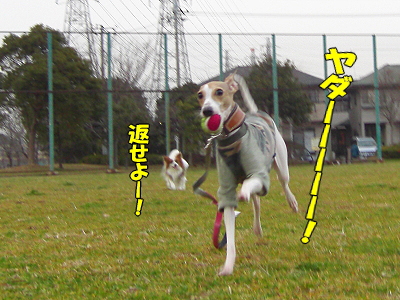 郎°ìÈÖ¡¦¡¦¡¦¡¦©