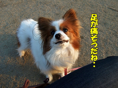 ¤¬¤ó¤Ð¤ì¡¢¥Õ¡¼¥Á¡ú£