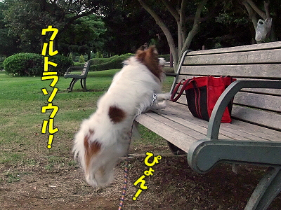 その後のサザビー ウルトラソウル