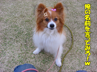 Àµ²ò¼Ô¿¿ô¡¦¡¦¡¦orz±