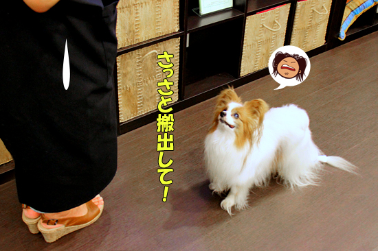 ¥µ¥¶¤Á¤ã¤ó¡ú¤ªº×¤ê¥ì¥Ý¡ÊÁ°ÊÓ¡Ë03
