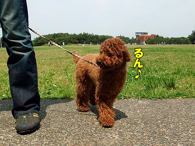 GWËëÄ¥¥ª¥Õ¡Ê³¤É͸ø±àÊÔ¡Ë£