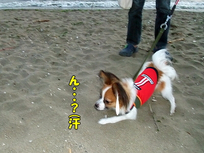 ÃÏÍ롦¡¦¡¦