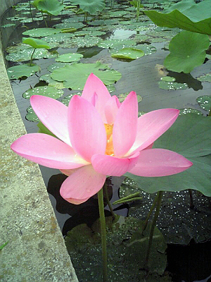 ï¤â¤¤¤Ê¤¤¡©¢