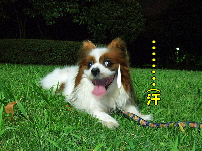 ¾ø¤·½ë¤¤Ìë¥