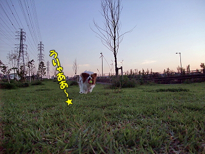 ÂçÀڤˤ¹¤ë¤Í¡ª¡