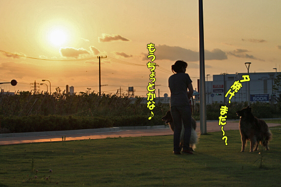 ¤¿¡¼¤¿¤ó¢ö¡¡03