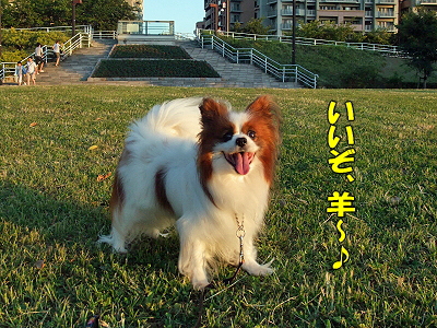 ¶õÈô¤Ö¥Ç¥Ö¡ú¢