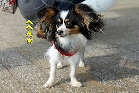 ¤µ¤¤Ã¤Ä¤¡¤ó¥ª¥Õ¢ö±