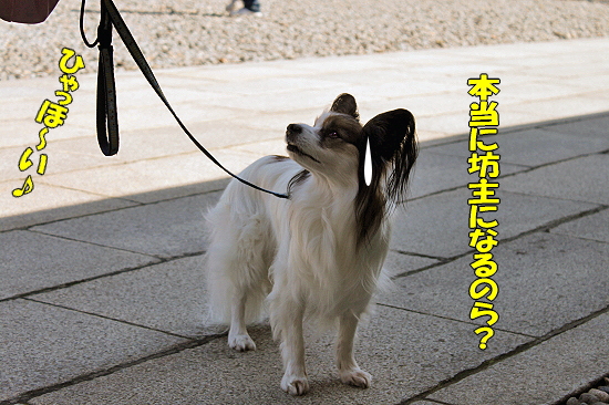 ¤µ¤è¤Ê¤é¡¢AKI¤µ¤ó¡¦¡¦¡¦§