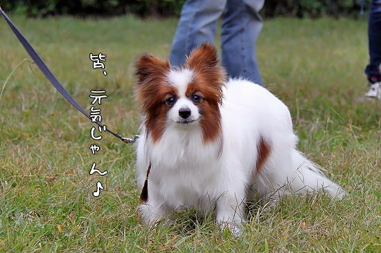 ¡Ú¥µ¥¶¥ª¥Õ2010¡Û¡¡¤½¤Î£±²