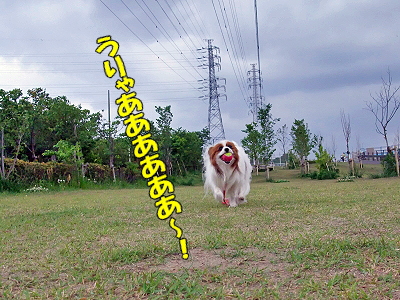 ÂæÉ÷Àܶᡪ¤