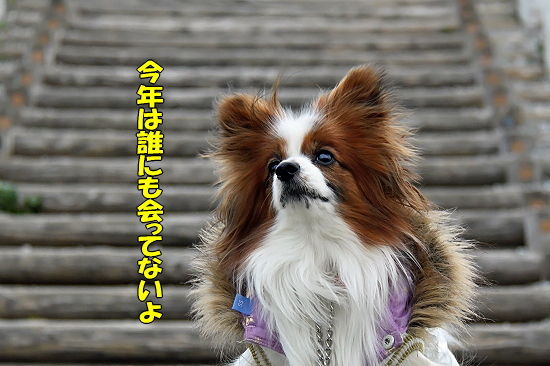 ¸Åʯ¤Ç¿·Ç¯²ñ¡¦¡¦¡¦¡¡11