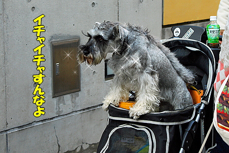 ´èÄ¥¤ì¡¢¤Ð¤Õ¢ö¡Ê¸åÊӡ˳