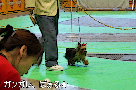 ¥¬¥ó¥¬¥ì¡ú¥è¡¼¥¡¼¥º¬