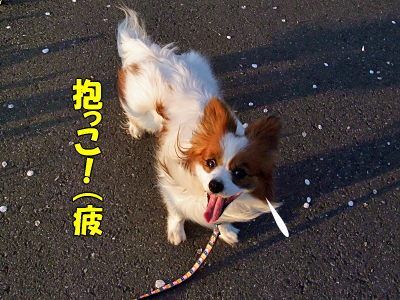 ºù²Öà¥Ì¡²