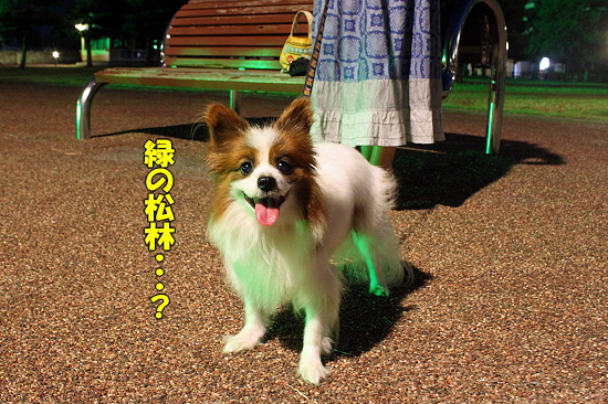 ¤¢¤¢¾¾Åç¤ä¡¦¡¦¡¦¬
