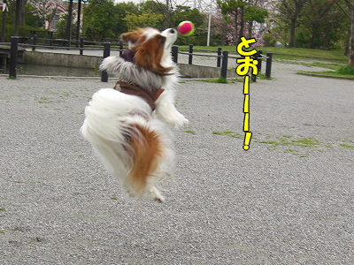 ½Õ±«¡¦¡¦¡¦¨