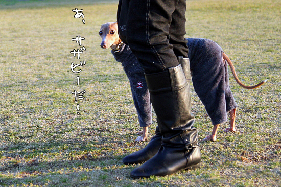 ¤Á¤ç¤¤¤È£ç£ä£ç£äÏÈ¡¡08