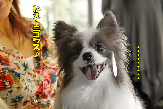 ¤Á¤ç¤Ó¤Ã¤È¥µ¥ß¥Ã¥È«