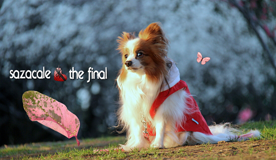 ¡Ú¥µ¥¶¥«¥ì¡¦The Final¡Û¡¡01