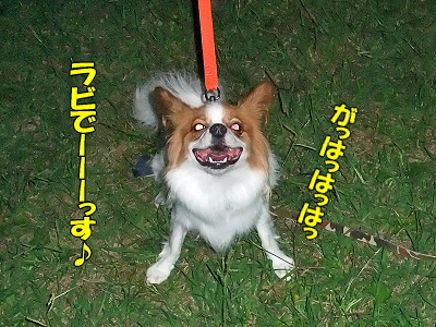 ÇòÃã²ñ¾ì¤Ø¤è¤¦¤³¤½¢ö®