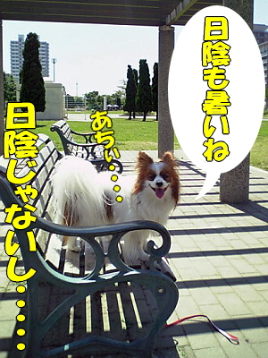 ÂÇÀ¥¤Ë¤Æ¥