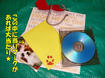 ¥á¥é¥Î¡¼¥Þ¼ðá硦¡¦¡¦ª