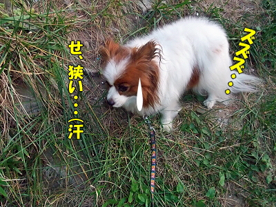 ¥é¥Ó¥¿¥¤¥à¢ö¡Ê¸åÊԡ˧