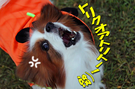 ¥Ï¥í¥¦¥£¥ó̼¢ö?
