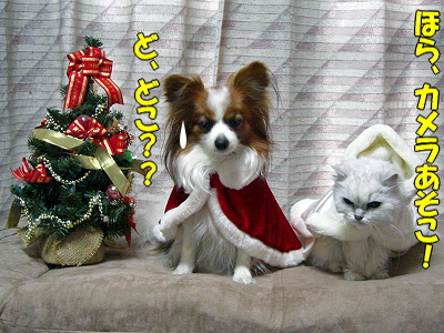 ☆★☆Merry Christmas☆★☆�