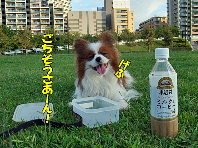 ¥Ú¥Ã¥È¥Ö¥í¥°¡ú¦