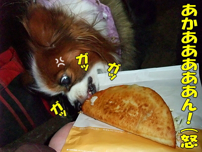 ·îÍËÆü¤Ï¥¿¥³¥¹¤ÎÆü¬