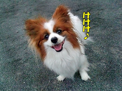 µ¤Ê¬²°¡¦¡¦¡¦¡¦©