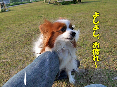 ¤ªÈè¤ì¡¼(¡¦¢Ï¡¦;)¤