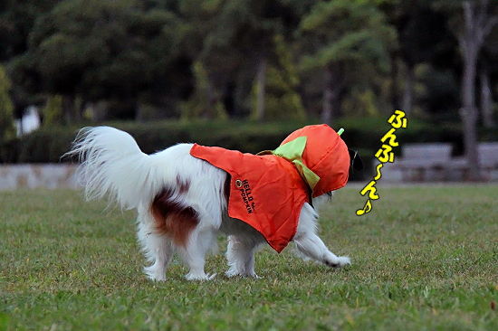 ¥Ï¥í¥¦¥£¥ó̼¢ö?