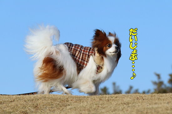16ǯÌÜ¡¡02