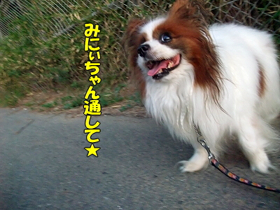 ¥é¥Ó¥¿¥¤¥à¢ö¡Ê¸åÊÔ¡Ë£